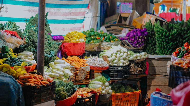 Chaîne du Froid Alimentaire : Guide Transport
